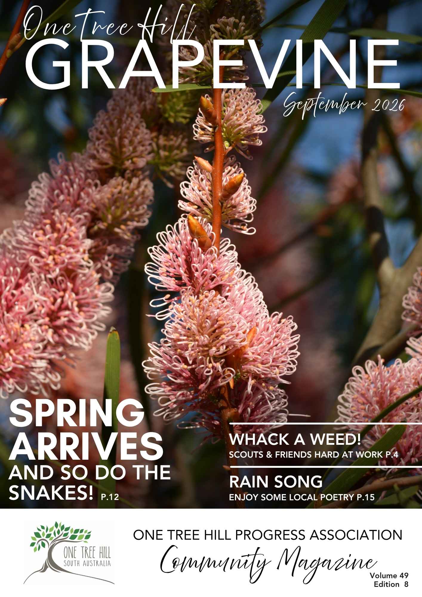 OTH Grapevine Cover - Sept 26.jpg