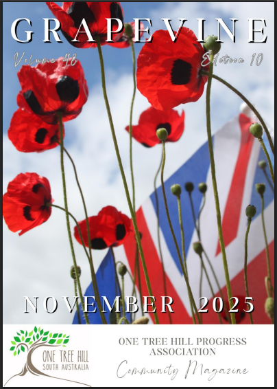 GV Cover November 2025.PNG